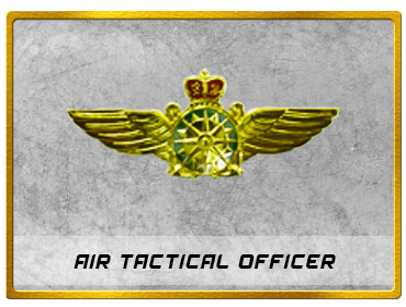 Air Tactical Officer.png